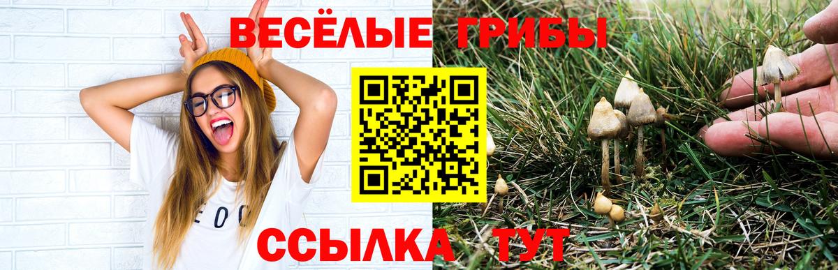 Галлюциногенные грибы Magic Shrooms  Вход с VPN  Джанкой  дарнет шоп  Галлюциногенные грибы мицелий 